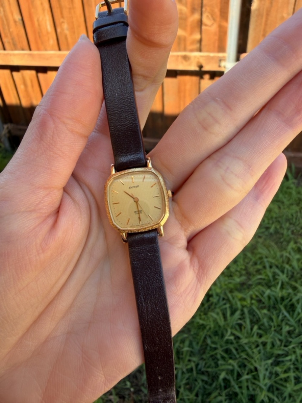 Citizen Gold-Tone Square Dial Watch with Dark Brown Leather Strap